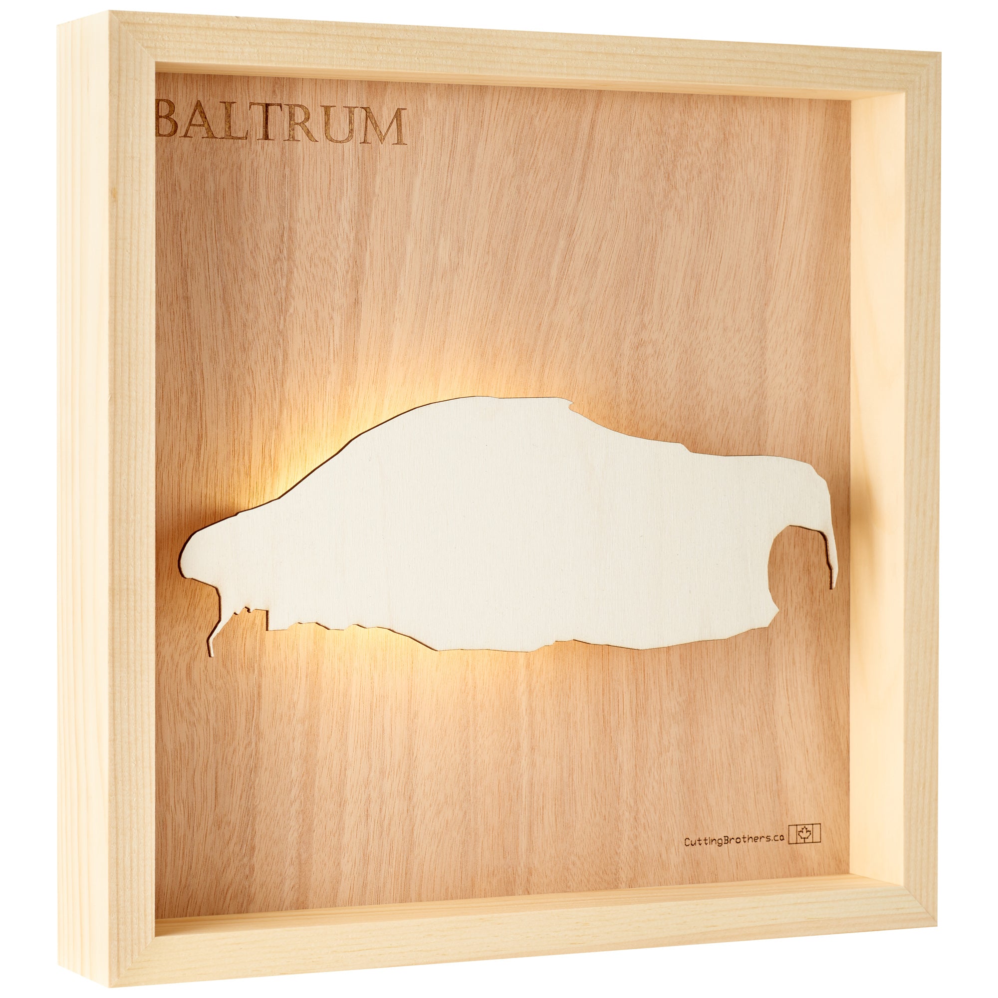 BALTRUM LIGHT WOODEN WALL MAP - Version S