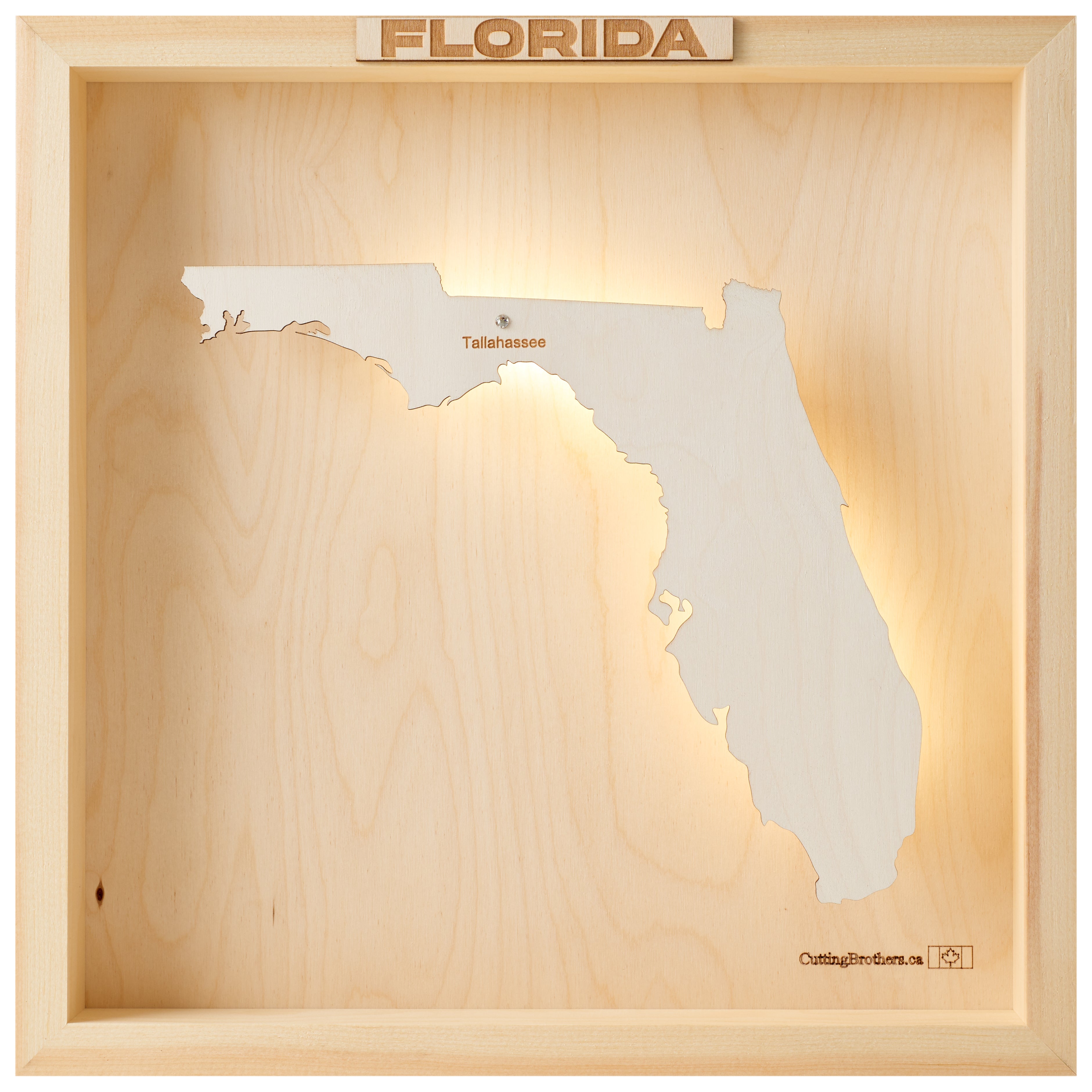 FLORIDA 3D WOODEN WALL MAP - Version S