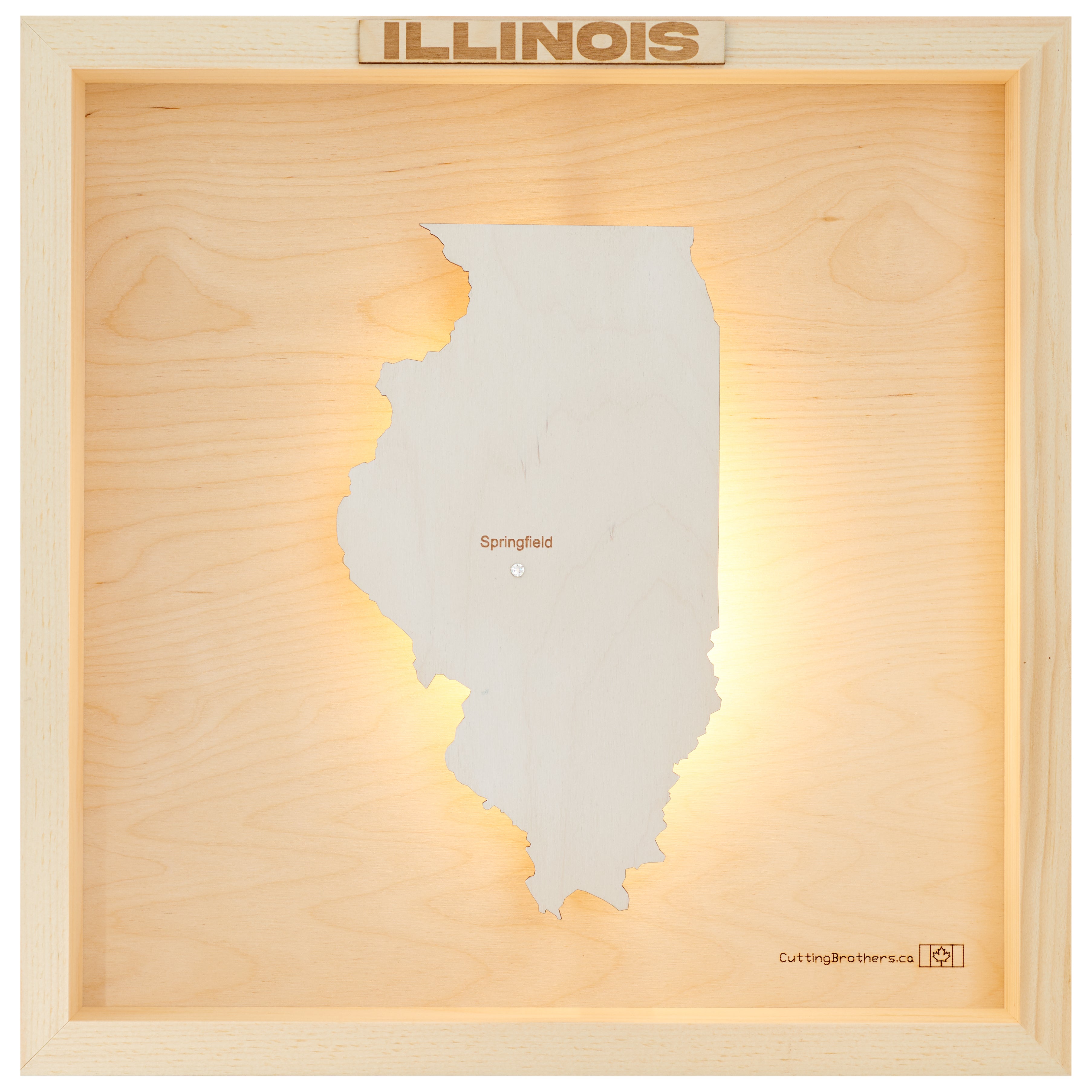 ILLINOIS 3D WOODEN WALL MAP - Version S