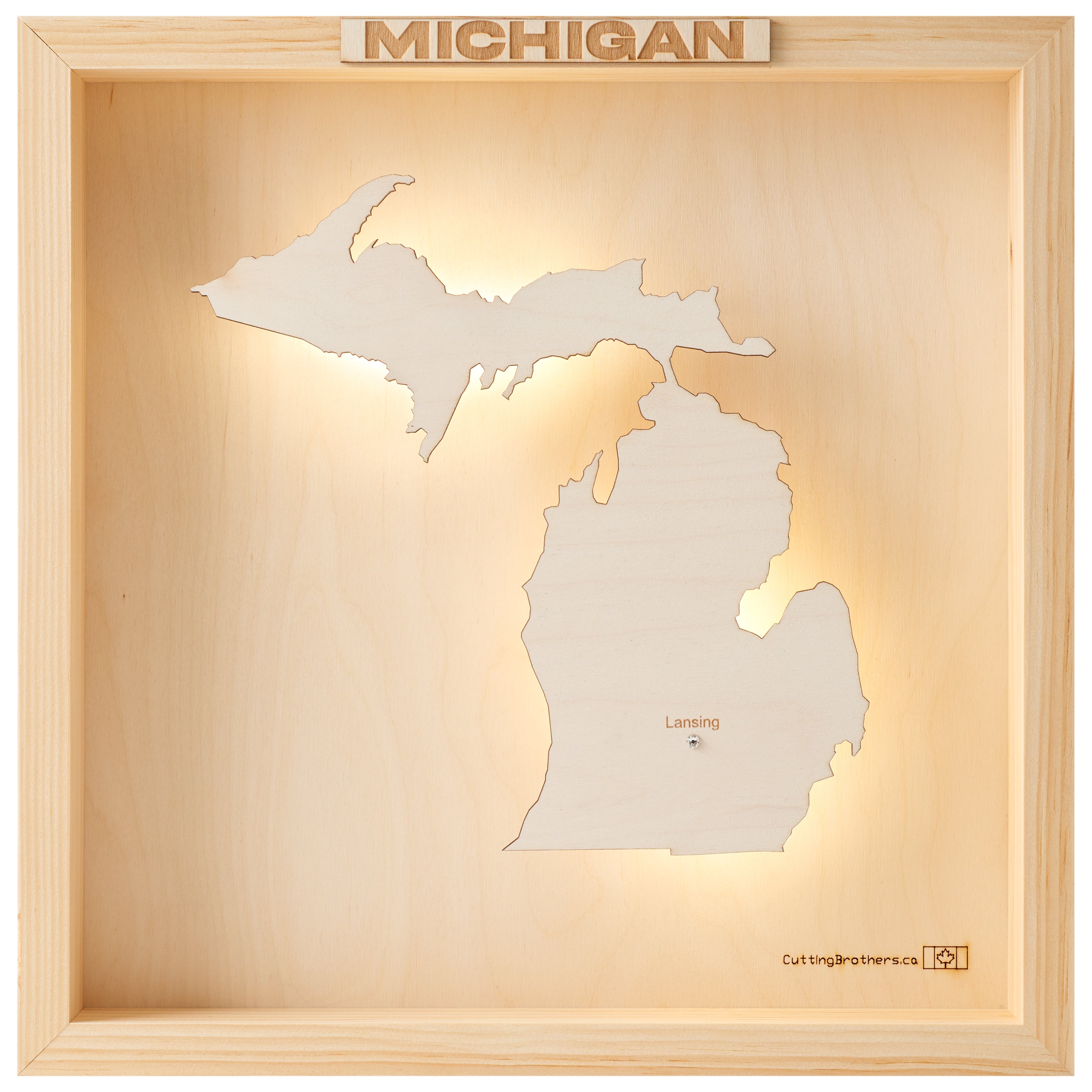 MICHIGAN 3D WOODEN WALL MAP - Version S