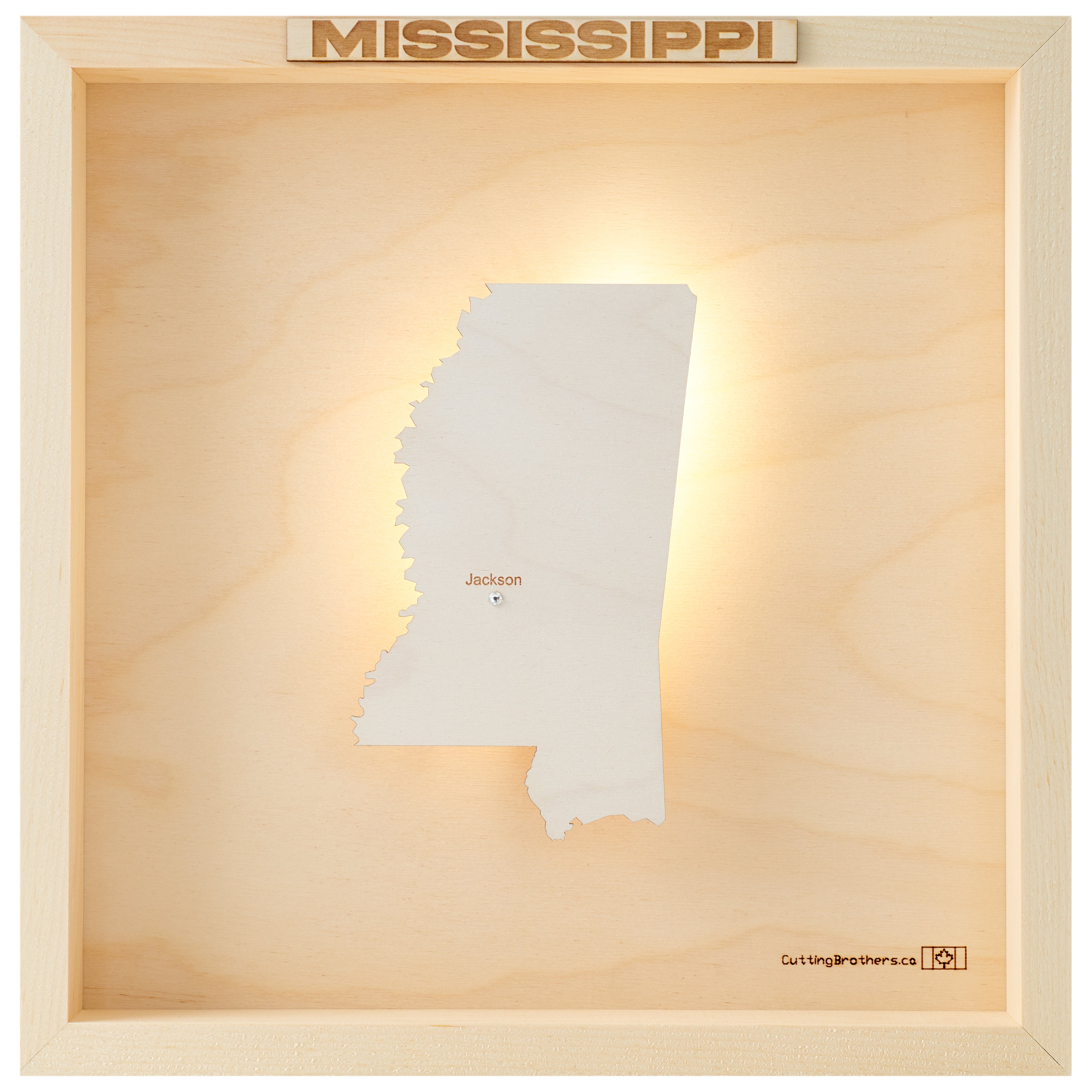 MISSISSIPPI 3D WOODEN WALL MAP - Version S