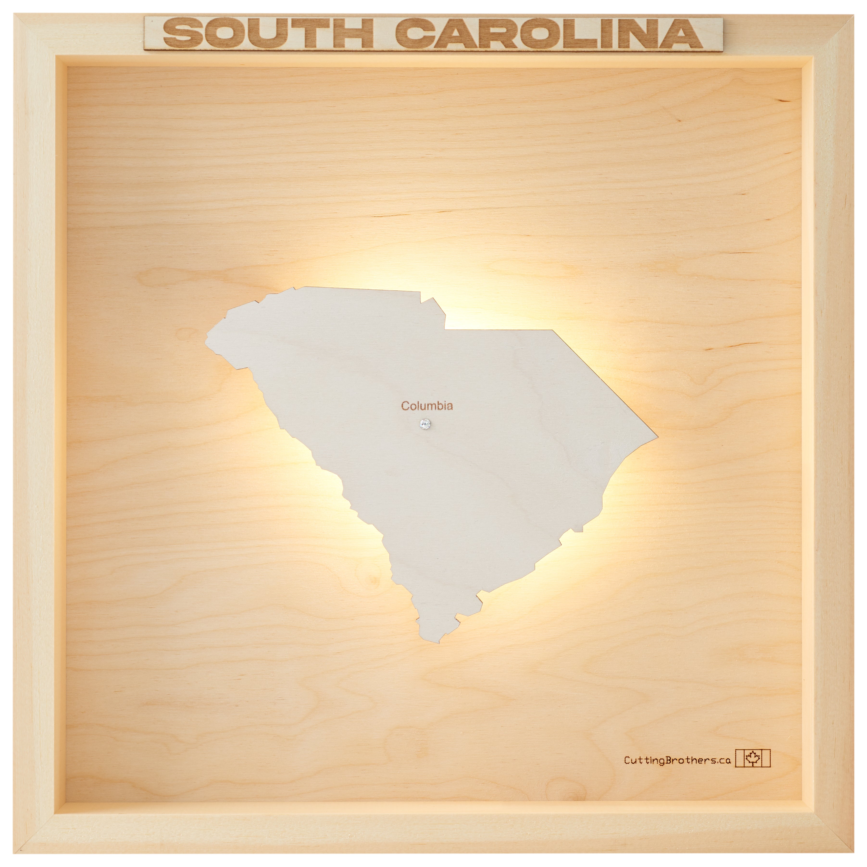 SOUTH CAROLINA 3D WOODEN WALL MAP - Version S